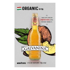 쇼케이스 이미지보드(갈바니나)