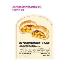 이미지보드_1종(26가을2)